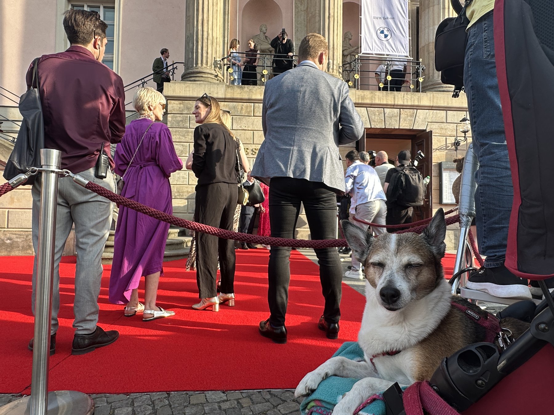 A completely unbothered dog lounging on the red carpet outside the Staatsoper für alle at Bebelplatz during the Fête de la Musique in Berlin