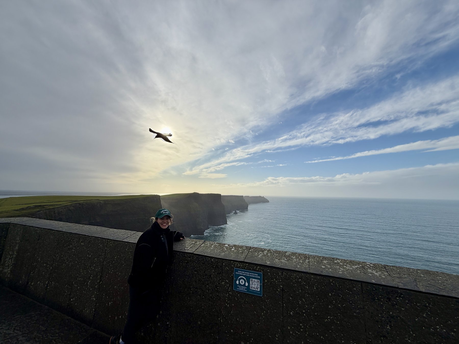 A friend at the Cliffs of Moher, leaning on the stone wall as a seagull soars overhead in the winter light