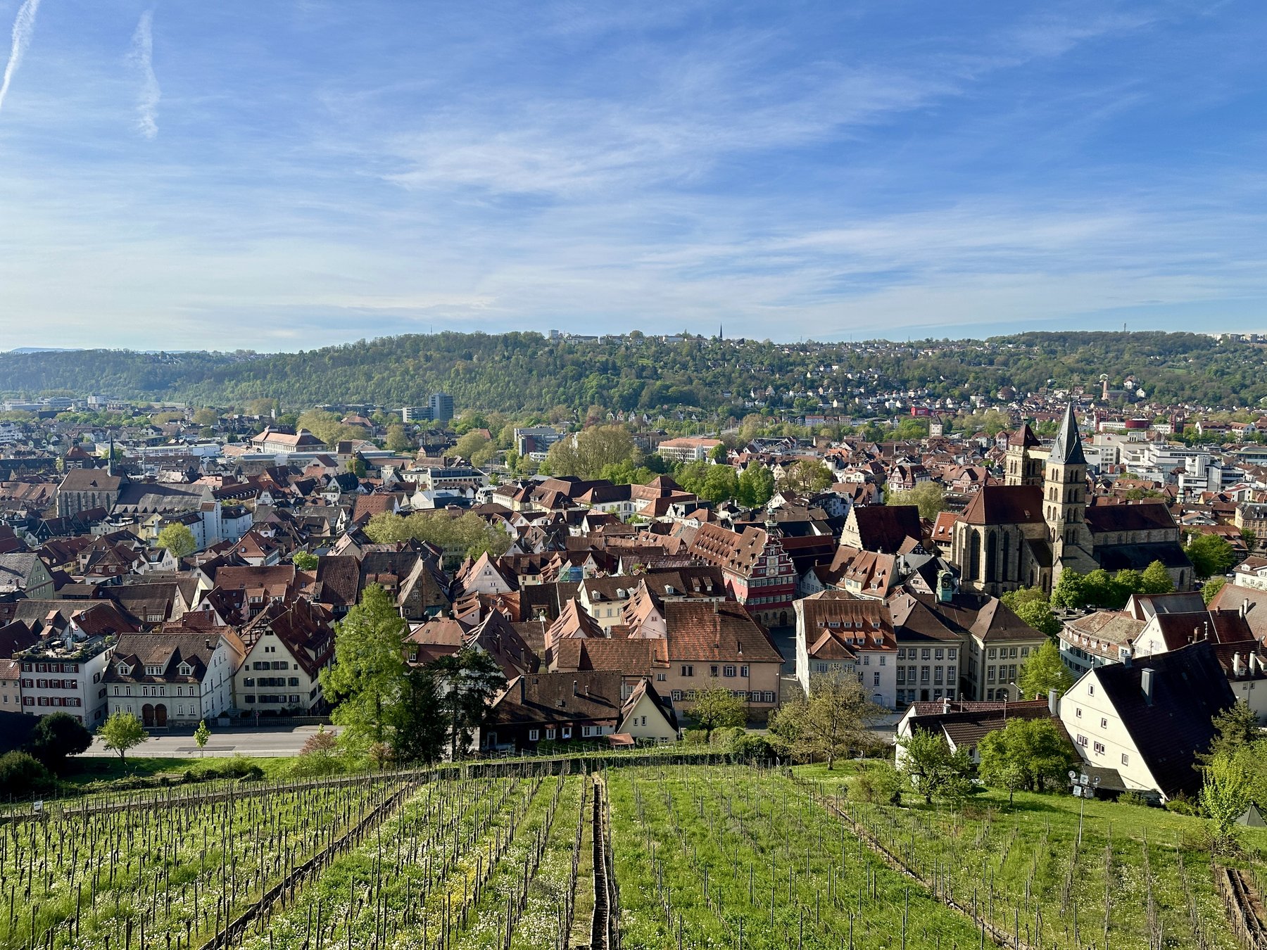 Panoramic view over Esslingen am Neckar old town, with terraced vineyards in the foreground and wooded hills behind
